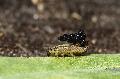 [ pilt: 1065    IMG_8402    .JPG ]